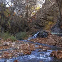 ۴۲۰۰ متر زمین در دنج ترین روستای طرقبه