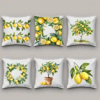 بالشت|رختخواب، بالش، پتو|مشهد, دانشجو|دیوار