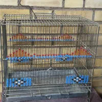 قفس پرنده 2 عدد