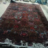 دو عدد فرش ۹متری دستباف|فرش|شیراز, شهرک والفجر|دیوار