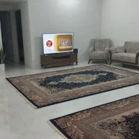 فرش|فرش|سبزوار, هویزه|دیوار