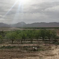 باغ ۴ هکتاری