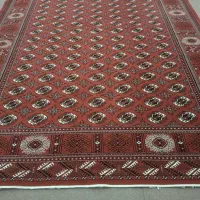 فرش ترکمنی|فرش|گنبد کاووس, |دیوار