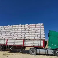 کاه دیم کردستان