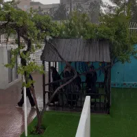 استخدام نیروی خدماتی