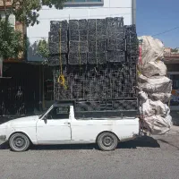 سبد