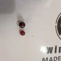 دوعددیاقوت سیلانی اصل|کلکسیون اشیاء عتیقه|برازجان, |دیوار