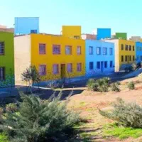 سند-تک-برگ-فاز-یک-پرند