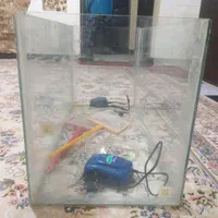 آکواریم بزرگ وتمیزهمراه با۲ددپمپ آب و۲عددتورماهی|ماهی|اهواز, بهارستان|دیوار