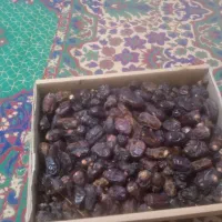 خرمای فله مضافتی کیلوی 50هزار ت