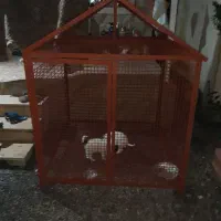 قفس سگ یا لونه مرغ