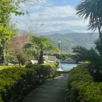 اجاره کاخ استخر دار ویو روبه جنگل 100|اجارهٔ کوتاه‌مدت ویلا و باغ|رشت, معلولین|دیوار