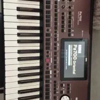 ارگ pa700 اورتینال