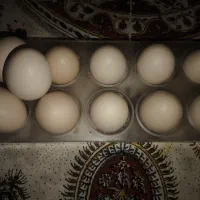 تخم مرغ محلی