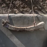 تعدادی چوب روستیک مناسب دکور و اقامتگاه