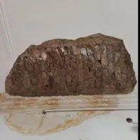 گچکاری و لکه گیری با قیمت مناسب