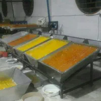 ظرف نبات شاخه