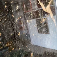 مغازه 20متر پانصد دستگاه