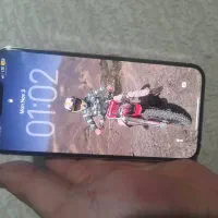 13 Pro Maxاپل|موبایل|مشهد, امامیه (شهرک غرب)|دیوار