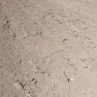 زمین کشاورزی|فروش زمین و ملک کلنگی|سیدان, |دیوار