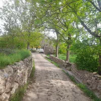 اجاره باغ و ویلاسنتی شیک   بوژاباد