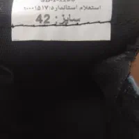 کفش ایمنی نو|کیف، کفش، کمربند|شوشتر, |دیوار