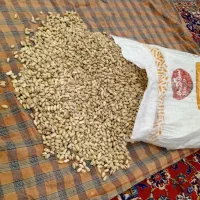 پسته اعلام منطقه جوین