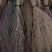 جارو درجه یک