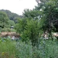 تعدادی آچار  گم شده