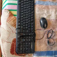 کیبرد موس|قطعات و لوازم جانبی رایانه|گناباد, |دیوار