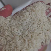 برنج درجه یک هاشمی شاهانه