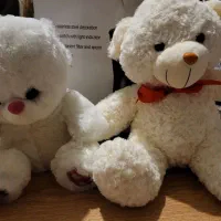 دو عروسک خرسی نرم و تمیز