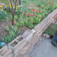 سوئیت-ردانی