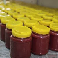 تولید و پخش رب گوجه فرنگی ارگانیک|عمده‌فروشی|تهران, اوقاف|دیوار