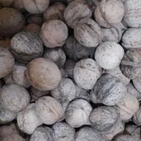 گردو درجه یک مغز سفید