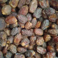 فروش خرما خشک خرما کشتی (بسته بندی|خوردنی و آشامیدنی|شیراز, فرهنگ شهر|دیوار