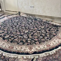فرش گرد|فرش|رودهن, |دیوار