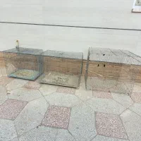 قفس در حد|لوازم جانبی حیوانات|سبزوار, توحیدشهر|دیوار