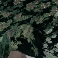 پارچه مجلسی