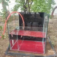 اکواریوم|ماهی|بروجرد, |دیوار