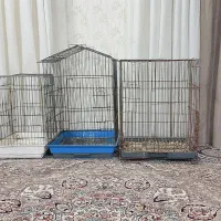 قفس پرنده