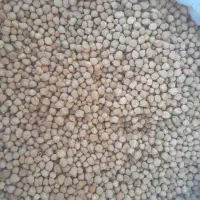 نخودآبگوشتی