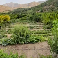 باغ-1-500-متری-در-بهترین-مکان