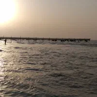 نیازمند به ضامن کارمند یا بازنشسته