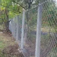 پایه فنس بتنی پایه سیمانی داربست انگور|خدمات باغبانی و درختکاری|لنجان, |دیوار