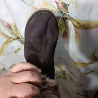 ugg بوت|کیف، کفش، کمربند|تهران, نیلوفر|دیوار