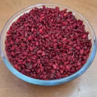 زرشک به قیمت عمده