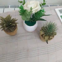 حراج هرعکس ۳۵ تا ۴۵تومان