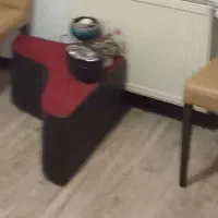 همخانه خانم پذیرفته می شود