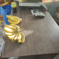 میز و صندلی|صندلی و نیمکت|ملایر, |دیوار